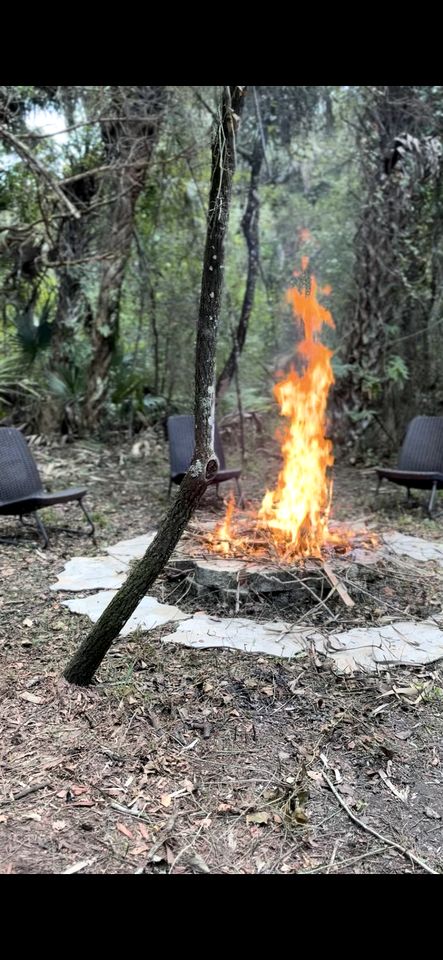 Secluded Off-the-Grid Cabin with Tropical Land Near Cocoa, Florida