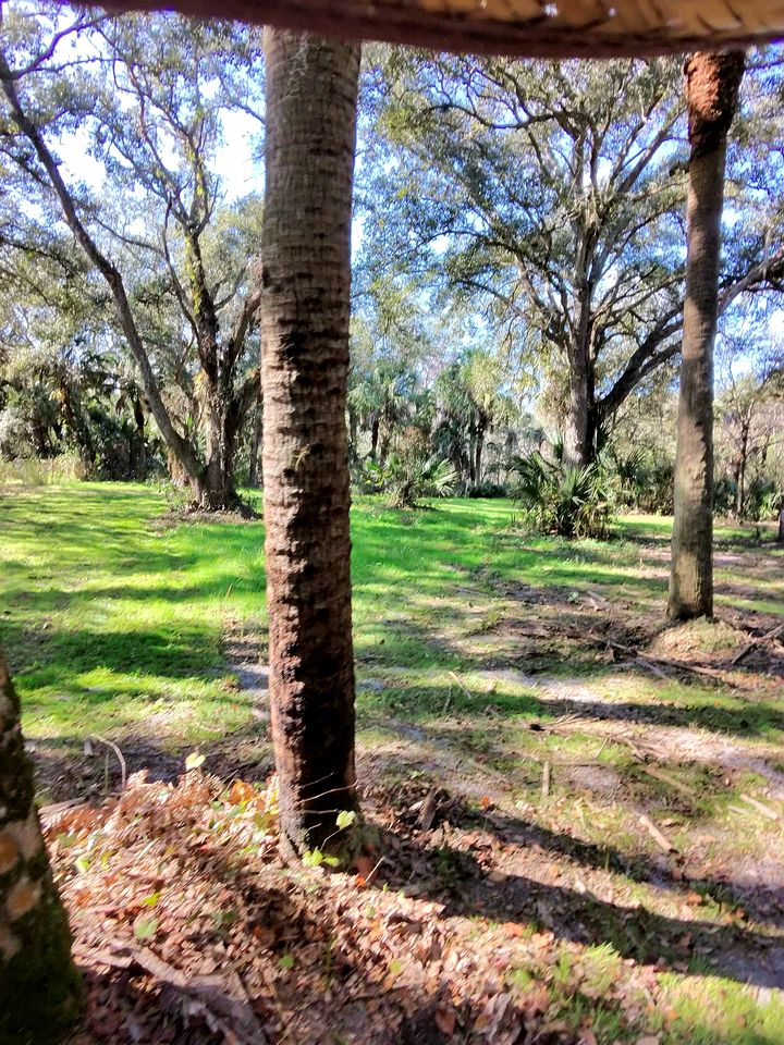 Secluded Off-the-Grid Cabin with Tropical Land Near Cocoa, Florida