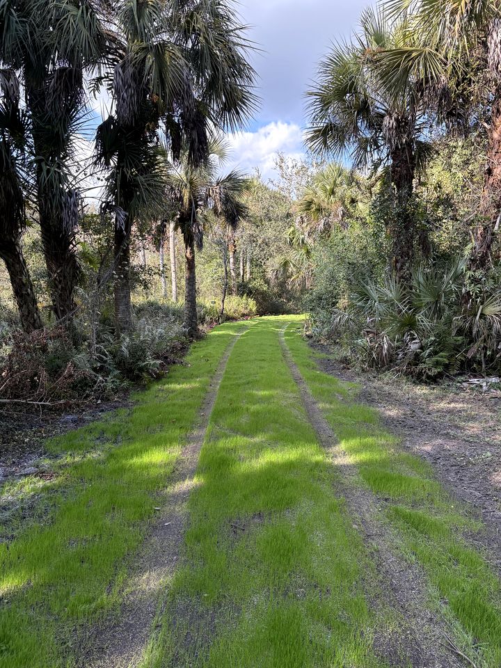 Secluded Off-the-Grid Cabin with Tropical Land Near Cocoa, Florida