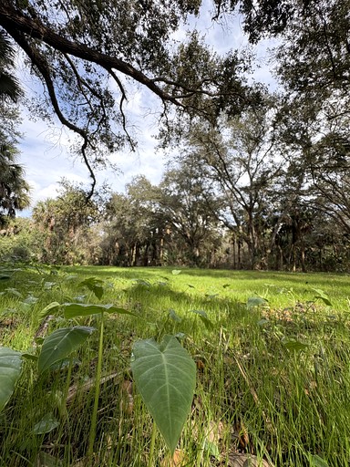 Cabins (United States of America, --, --)