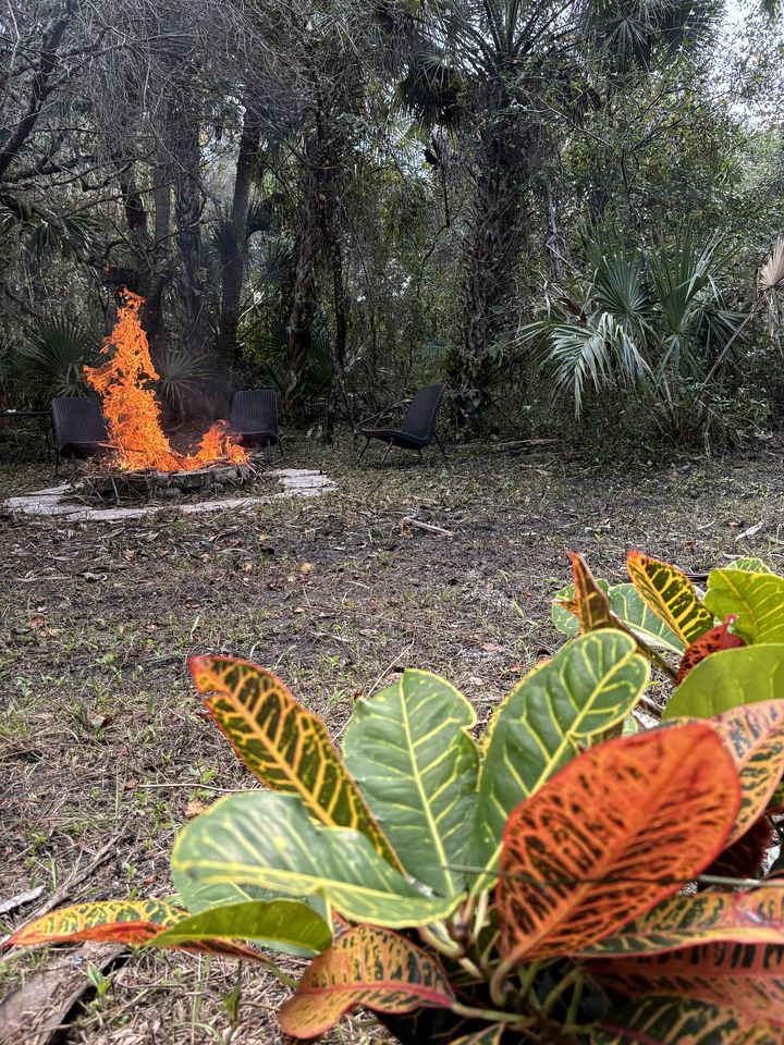 Secluded Off-the-Grid Cabin with Tropical Land Near Cocoa, Florida