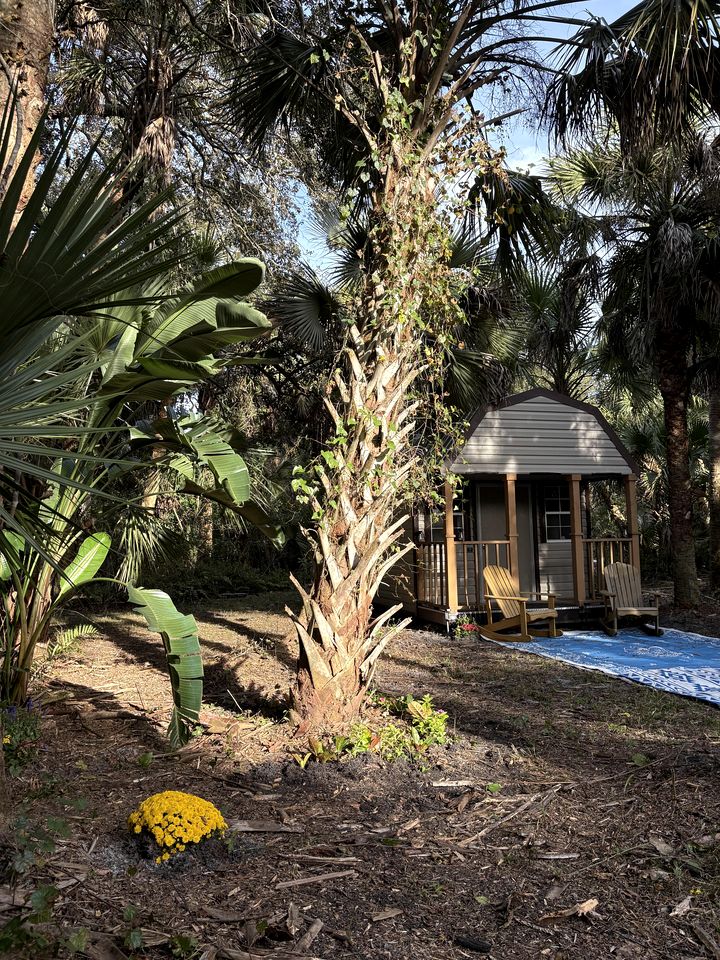 Secluded Off-the-Grid Cabin with Tropical Land Near Cocoa, Florida