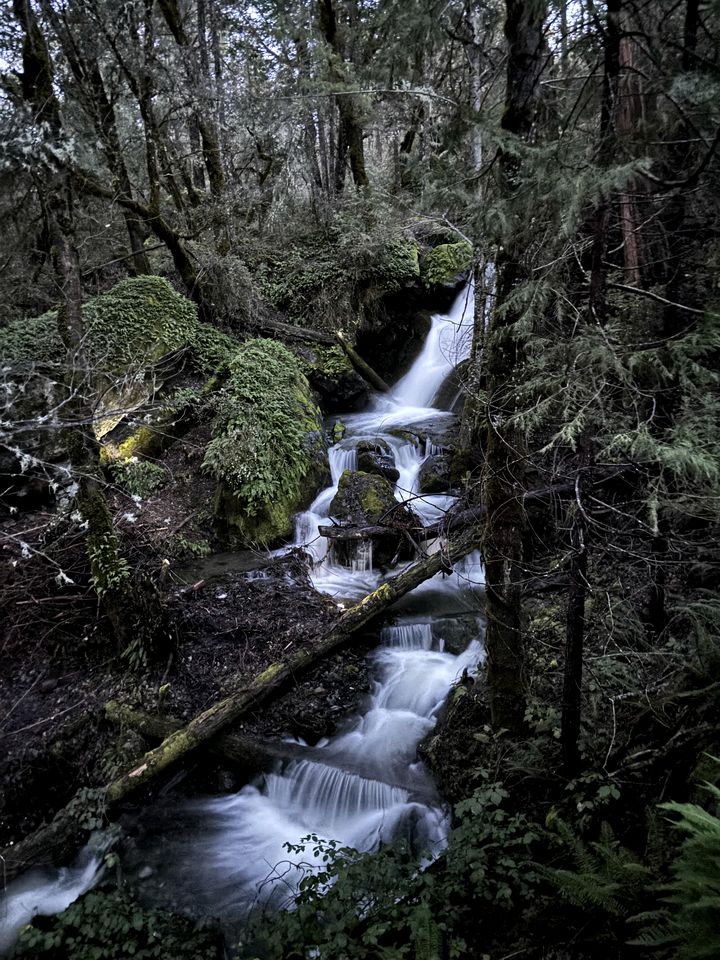 Secluded A-Frame Tiny Cabin with Waterfall View Near Shasta-Trinity National Forest, Burnt Ranch, California