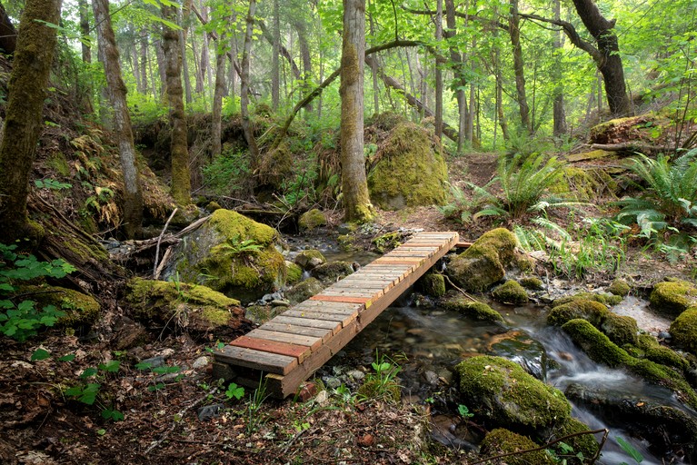 Caravans (United States of America, --, California)