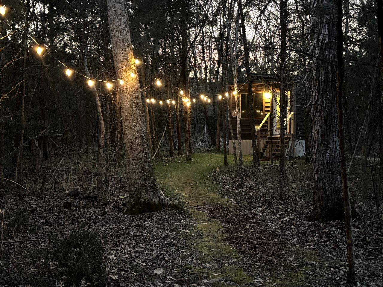 Peaceful Tiny Cabin Escape with Loft, Private Trail & Forest Views in Columbia, Tennessee