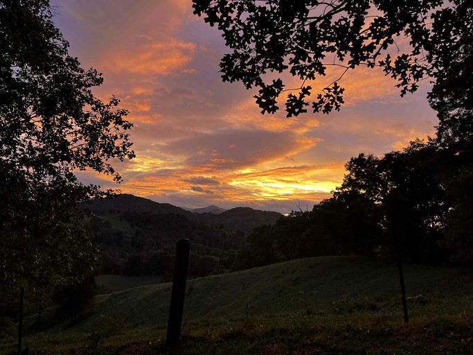 Log Cabins (United States of America, Clyde, North Carolina)