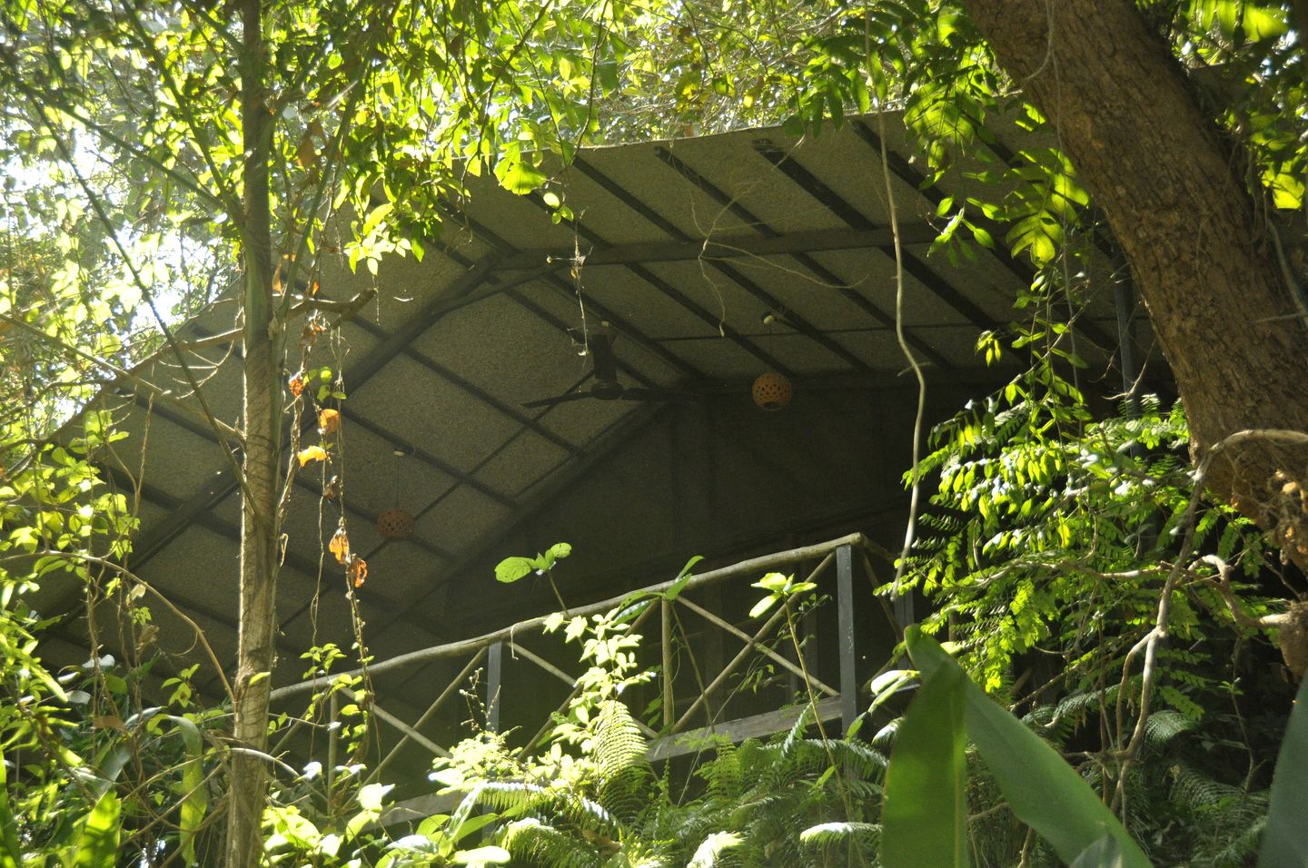 Rustic Eco-Friendly Cottages in North Goa, India