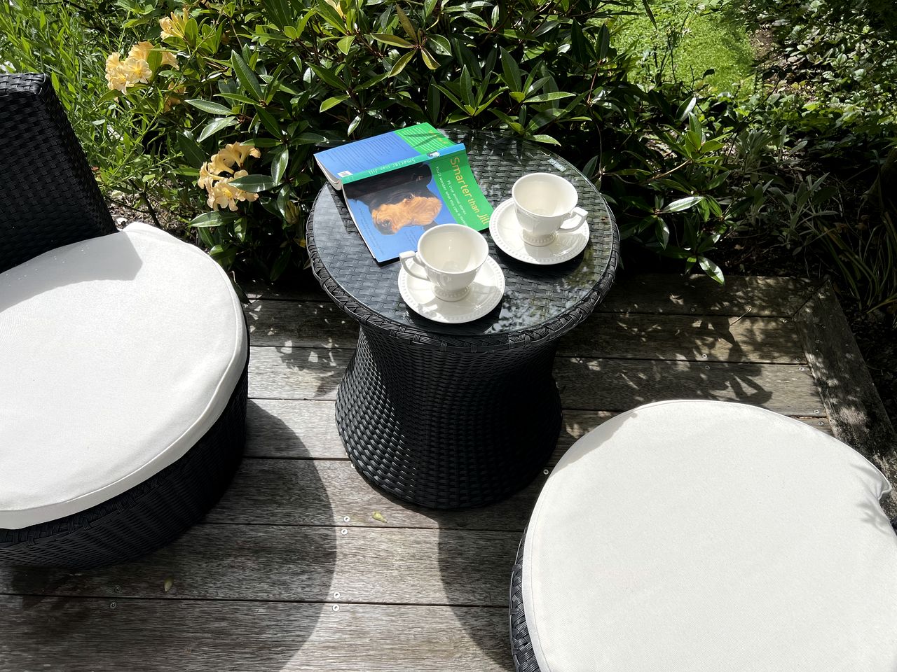 A charming cottage retreat with space to settle in and stay awhile, New Zealand