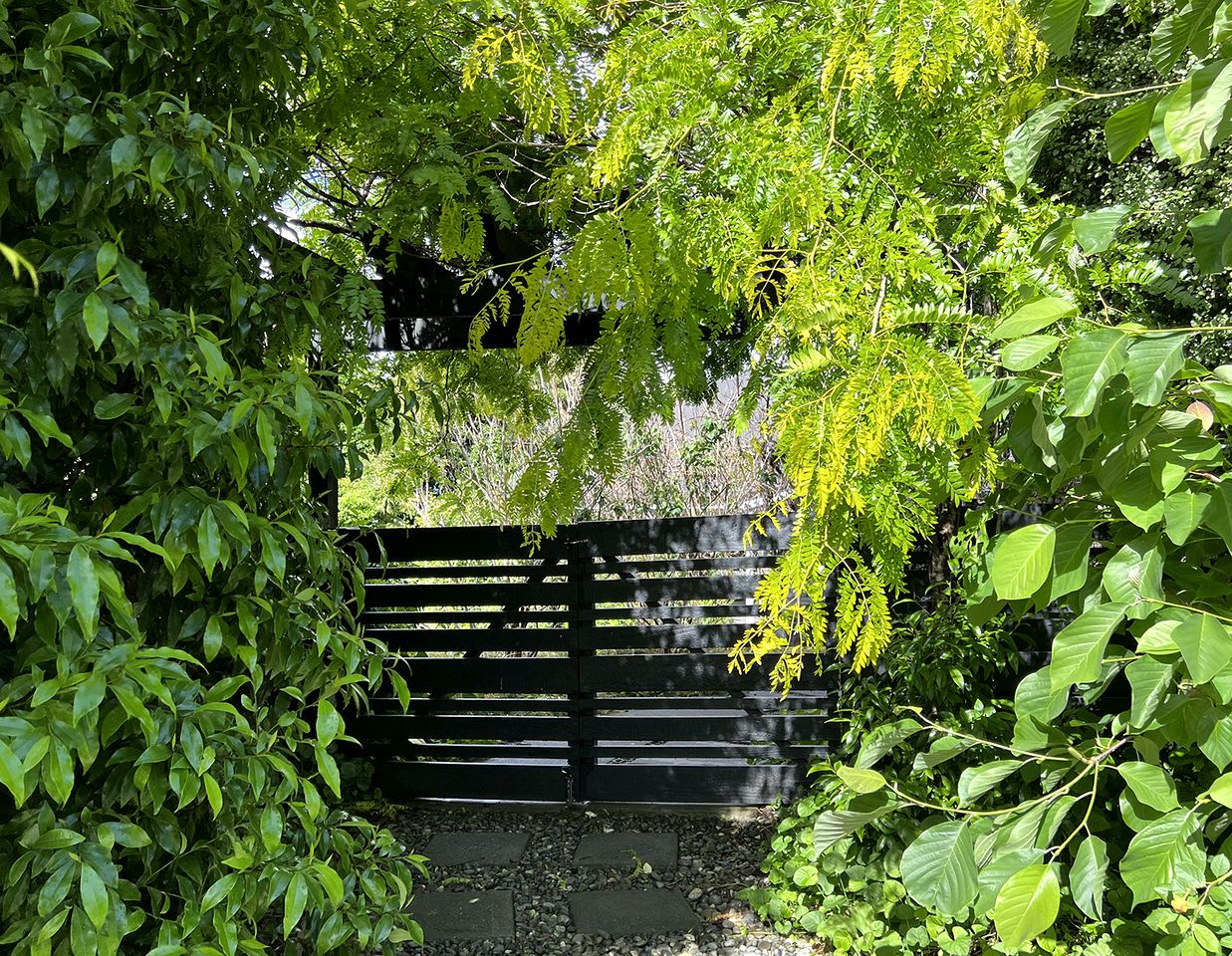 A private, spacious retreat designed for complete peace and privacy Kerikeri, New Zealand