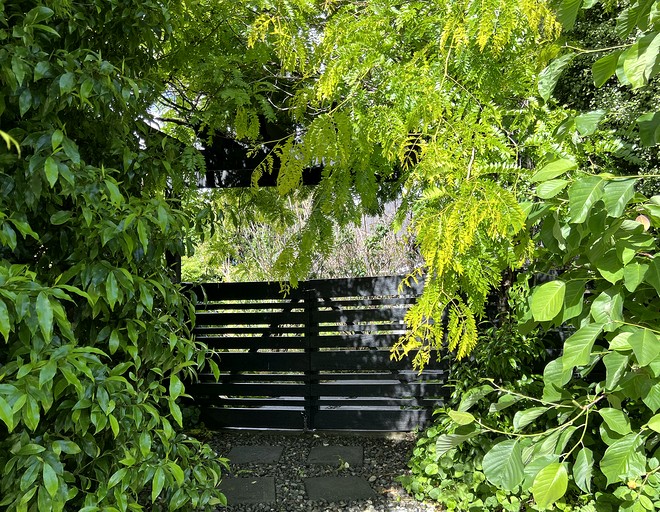 Villas (New Zealand, Kerikeri, North Island)