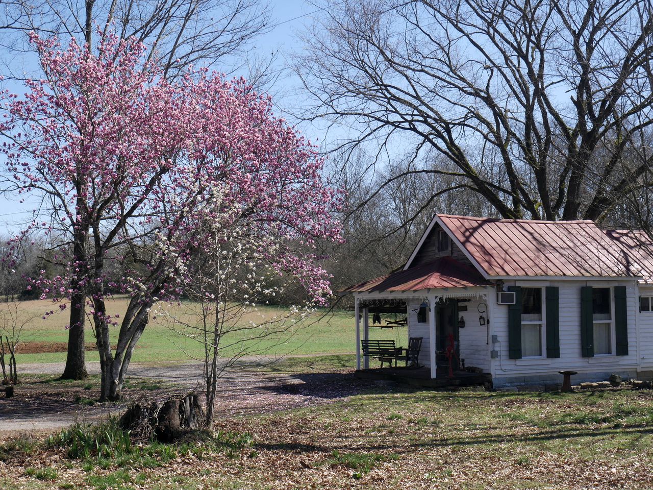 Cottages (United States of America, Mulberry, Tennessee)