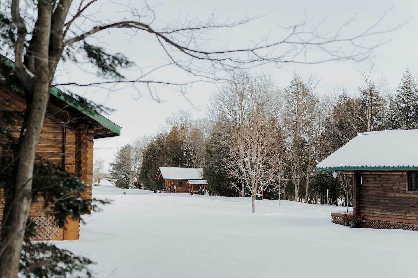 Log Cabins (Canada, Clarence Creek, Ontario)