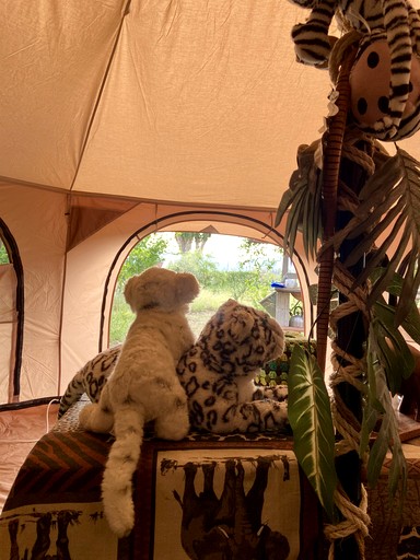 Bell Tents (Spain, Cartama, Andalusia)