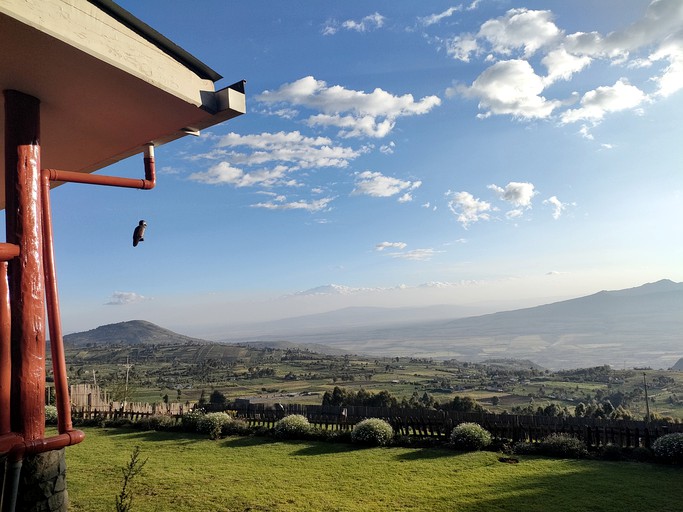 Cottages (Kenya, Naivasha, Nakuru)