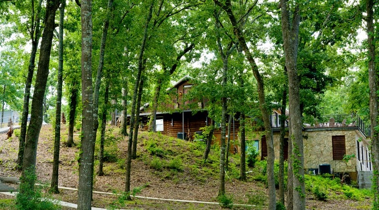 Vacation Rentals (United States of America, --, Texas)