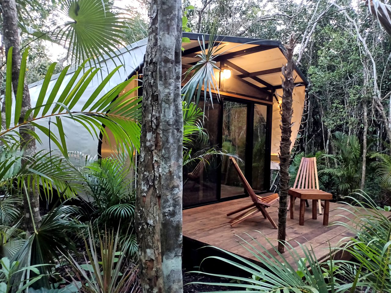 Equipped Tented Cabin Nestled Among the Towering Trees in Mexico