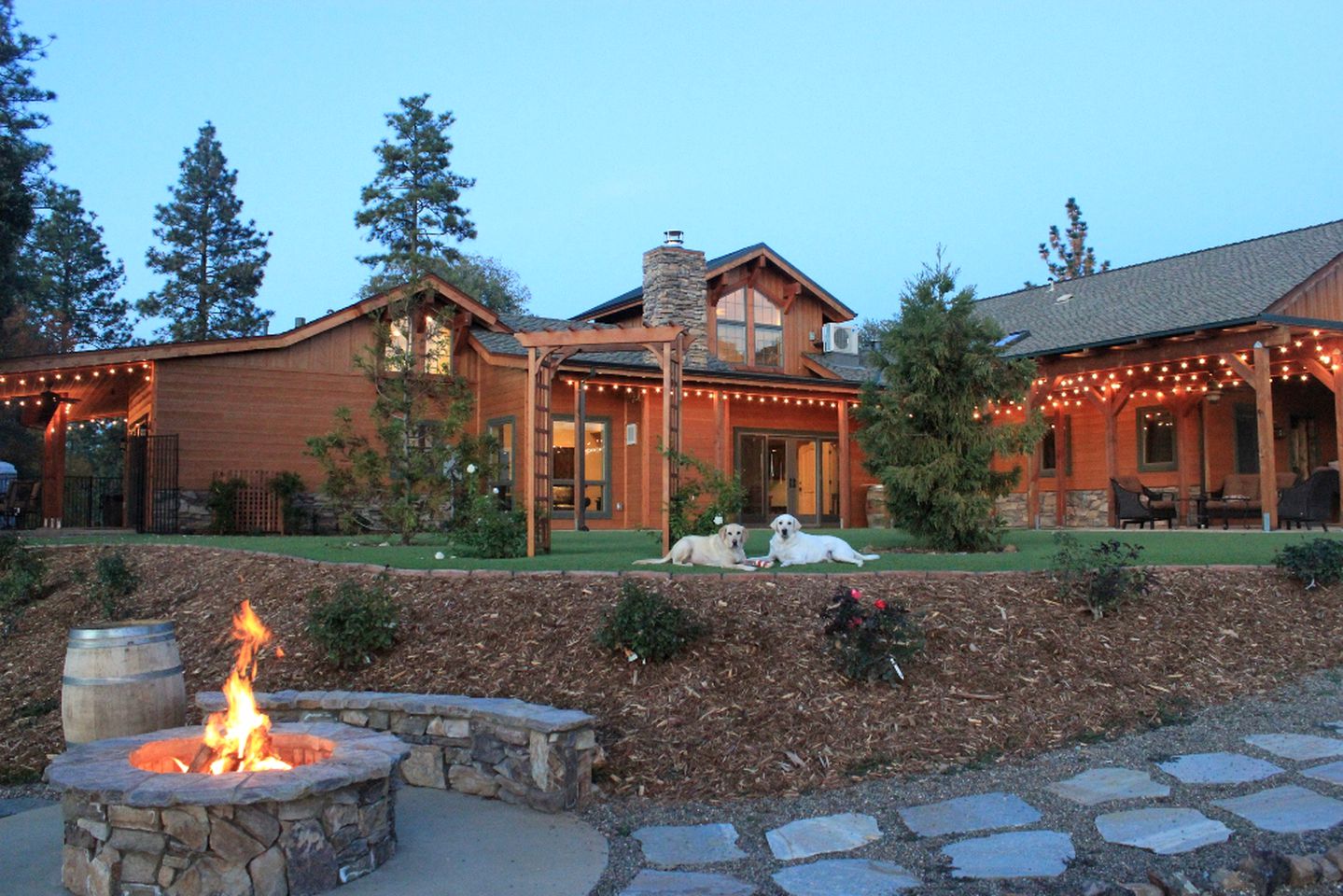Perfect for Animal Lovers, Pet-Friendly Glamping Cabin Destination in Jackson, California