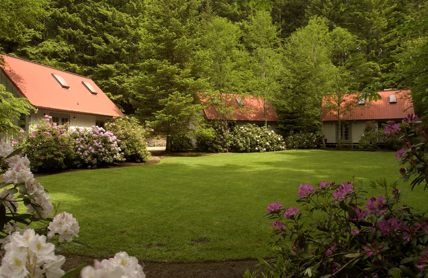 Fabulous Luminous Cottages Fully Equipped Perfect for Couples in Oregon