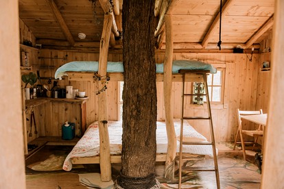 Tree Houses (Saint-Sauveur, Quebec, Canada)
