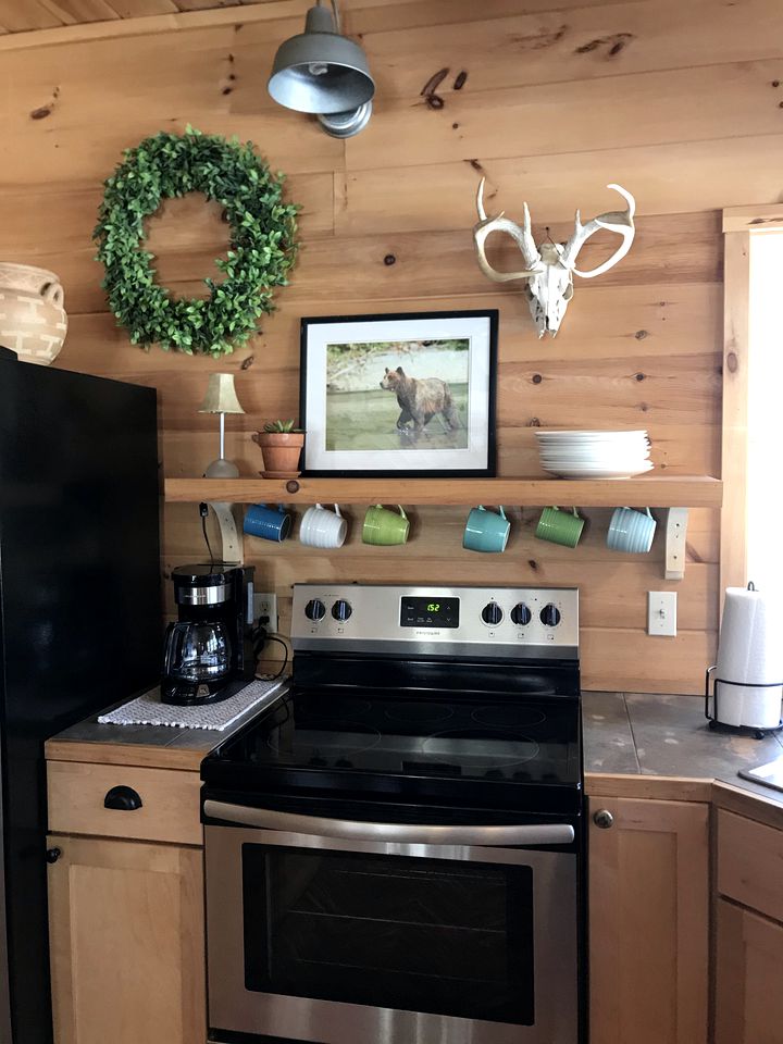 Pristine and Cozy Cabin Rental Overlooking Pond near Rochester, New York