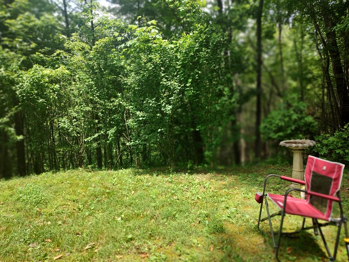 Cabins (United States of America, Turtletown, Tennessee)