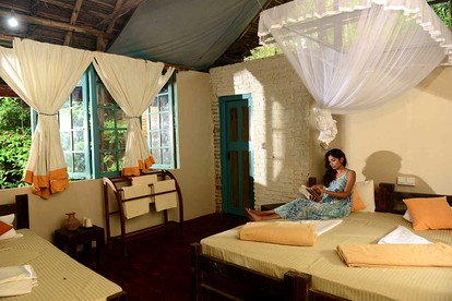 Cottages (Sri Lanka, Sigiriya, Central Province)