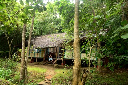 Cottages (Sri Lanka, Sigiriya, Central Province)