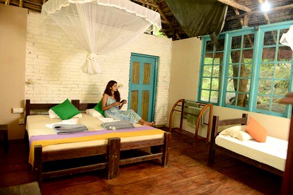 Cottages (Sri Lanka, Sigiriya, Central Province)