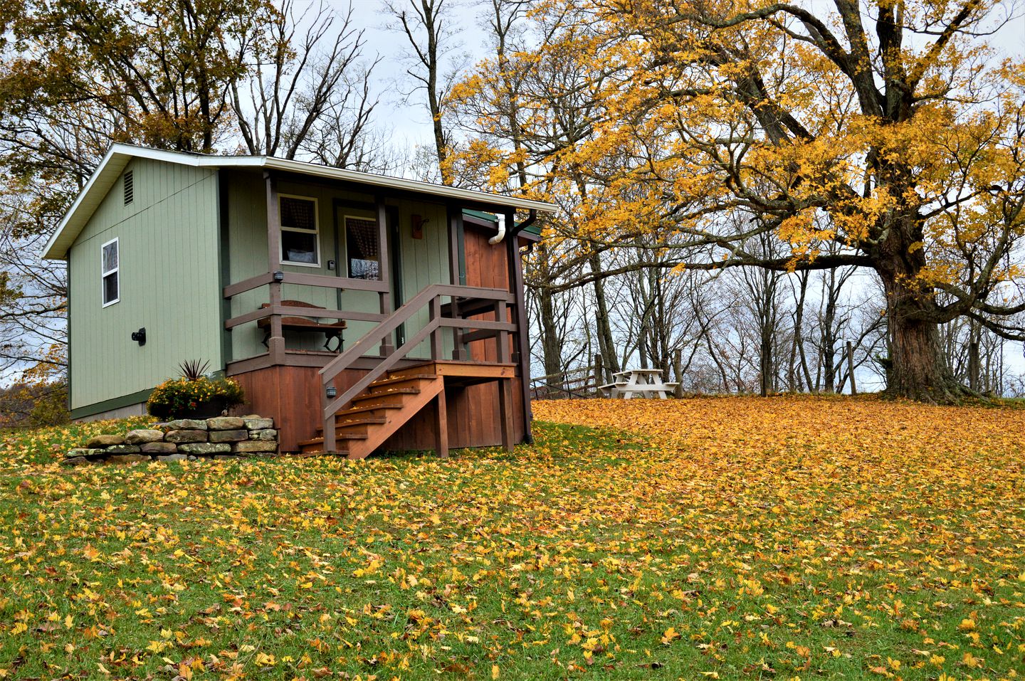 Peaceful Tiny House in the Mountains near Seneca Rocks, West Virginia