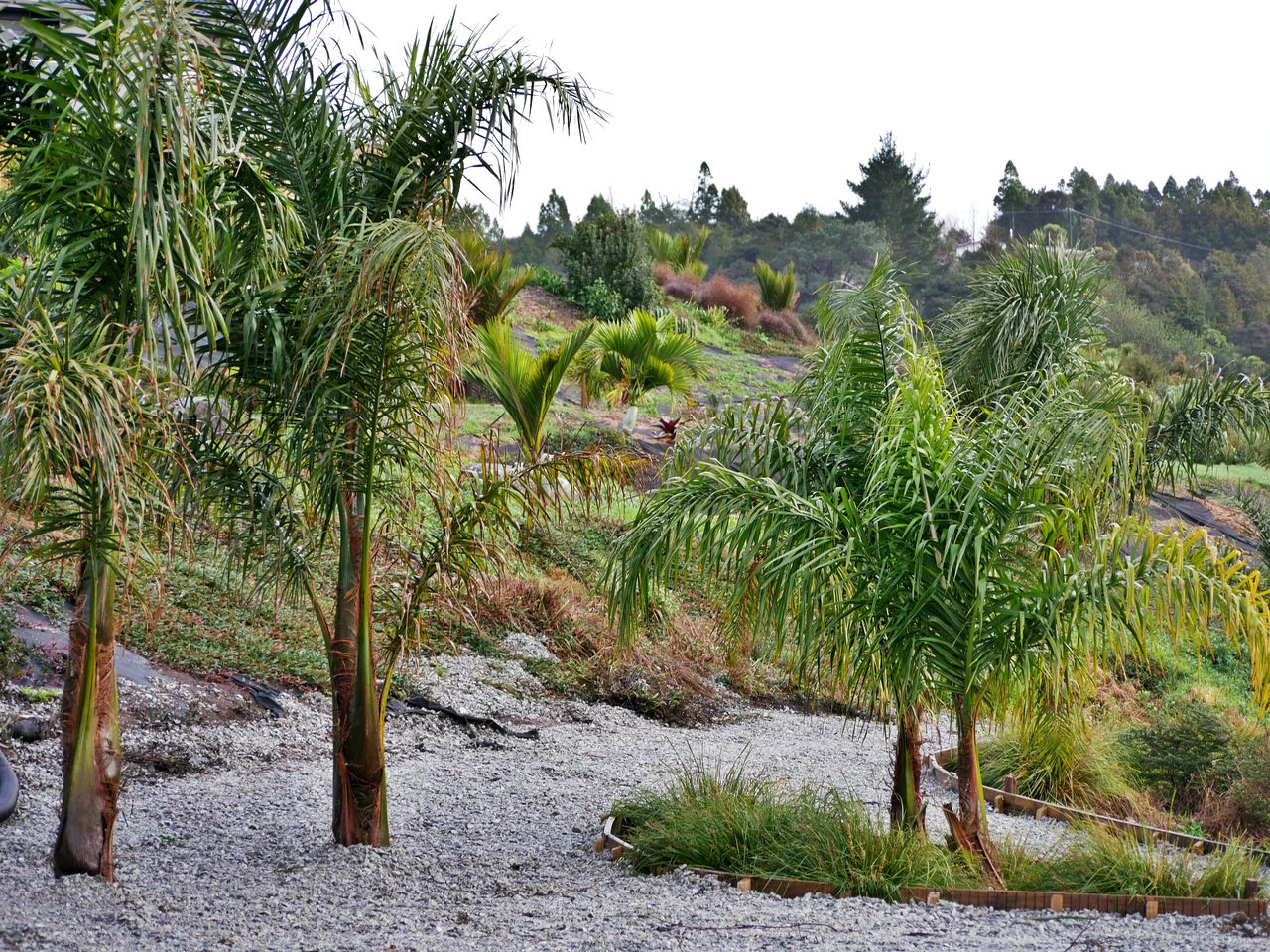 North Island Glamping Retreat for a Surfing Holiday near Auckland