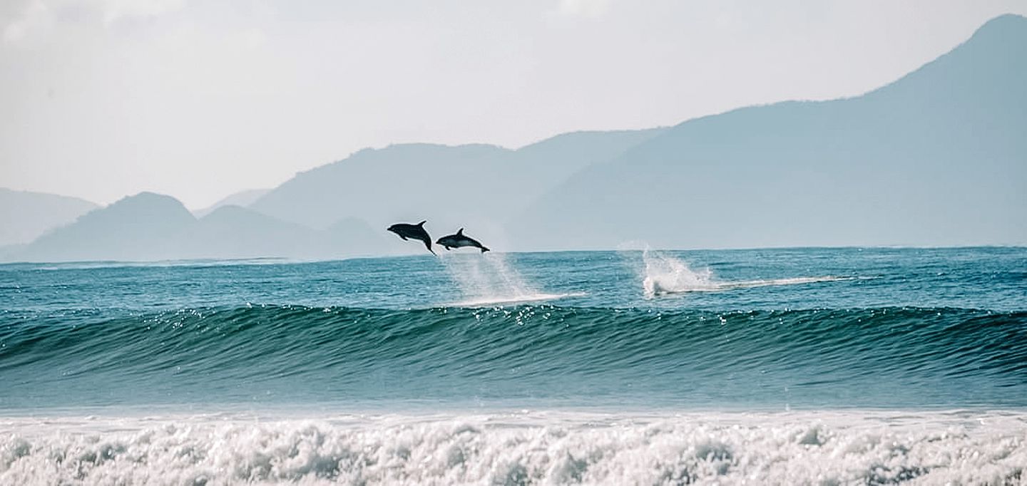 North Island Glamping Retreat for a Surfing Holiday near Auckland