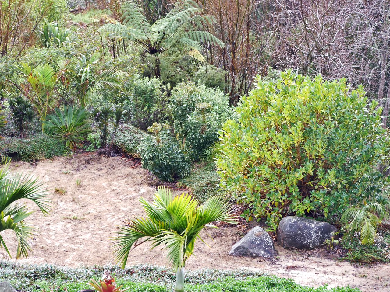 North Island Glamping Retreat for a Surfing Holiday near Auckland