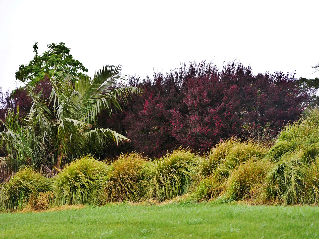 North Island Glamping Retreat for a Surfing Holiday near Auckland