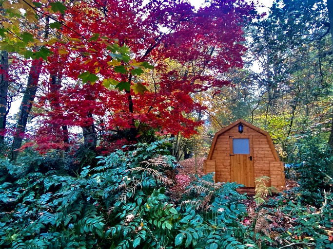 Cabins (Hampshire, England, United Kingdom)