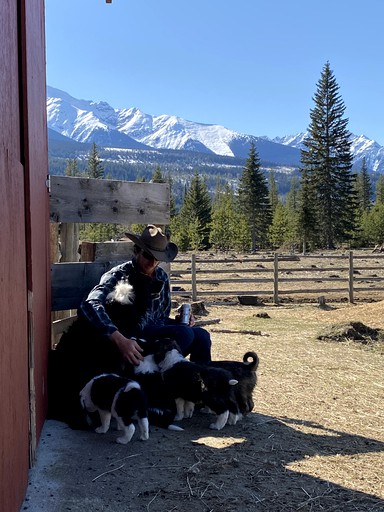 Bell Tents (British Columbia, Canada)