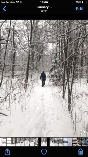 Cabins (Ontario, Canada)