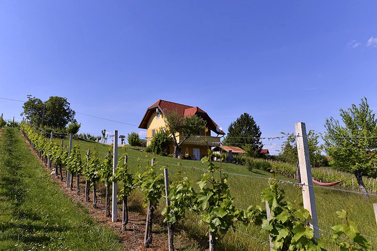 Cottages (Lower Sava, Slovenia)