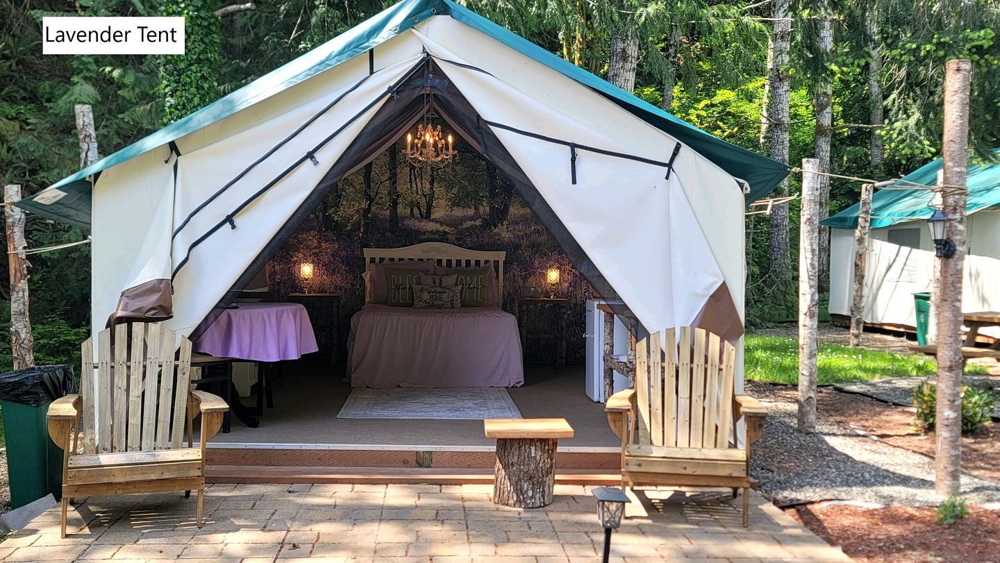 Safari Tents (United States of America, Lilliwaup, Washington)