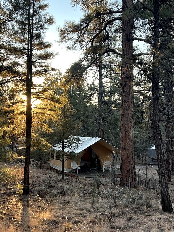 Spacious and Pet-Friendly Safari Tent near the South Rim, Perfect for a Grand Canyon Glamping Getaway