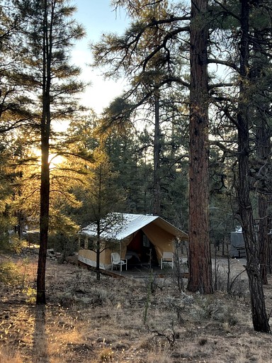 Safari Tents (United States of America, Grand Canyon Village, Arizona)