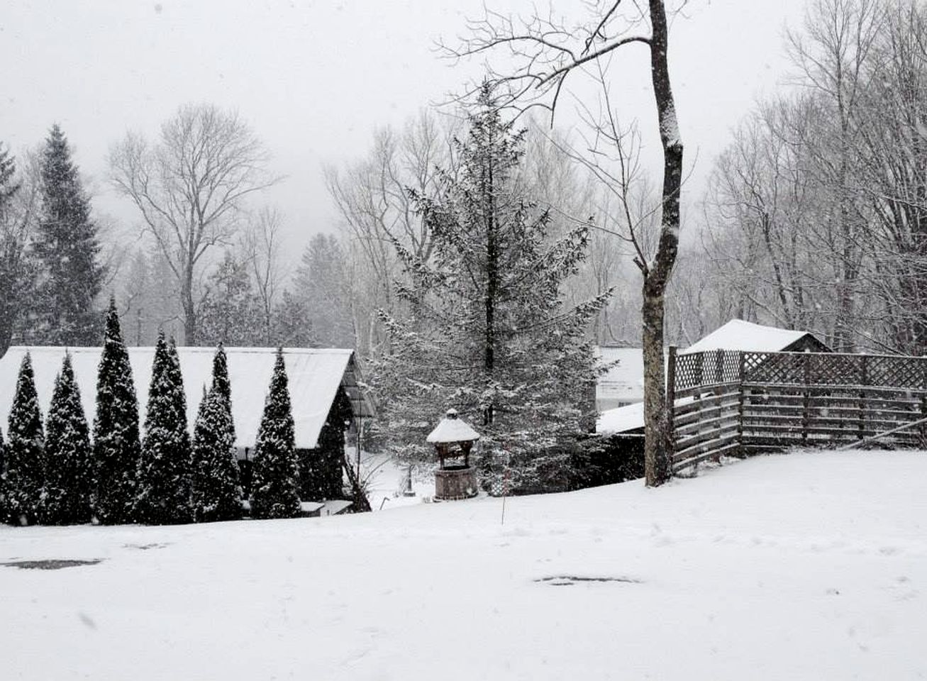 Cabins (Pine Hill, New York, United States)