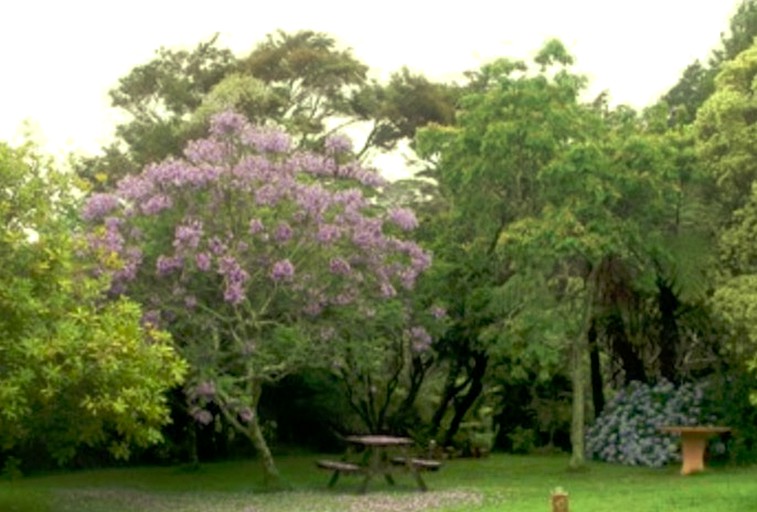 Cottages (Kuaotunu, North Island, New Zealand)