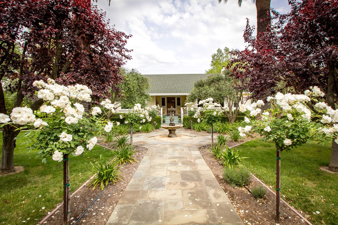 Cottages (Geyserville, California, United States)