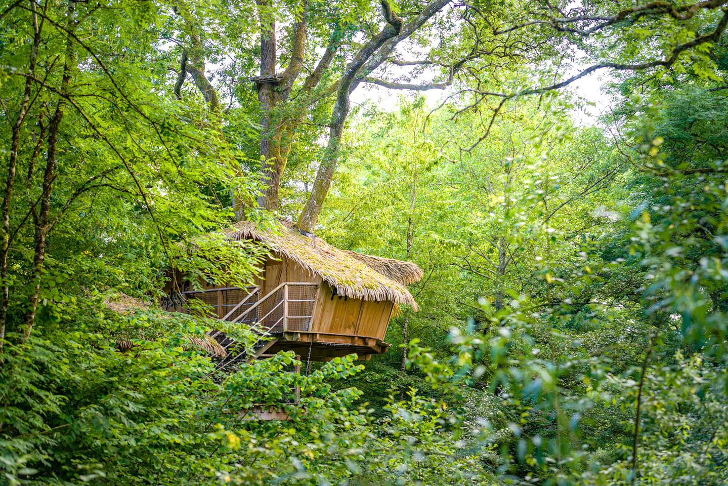 Tree Houses (Bonnal, Bourgogne-Franche-Comté, France)