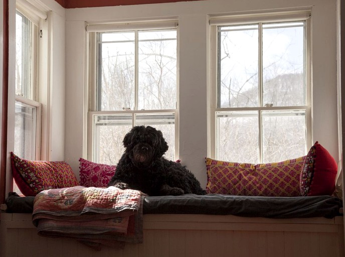 Vacation Rentals (Jewett, New York, United States)