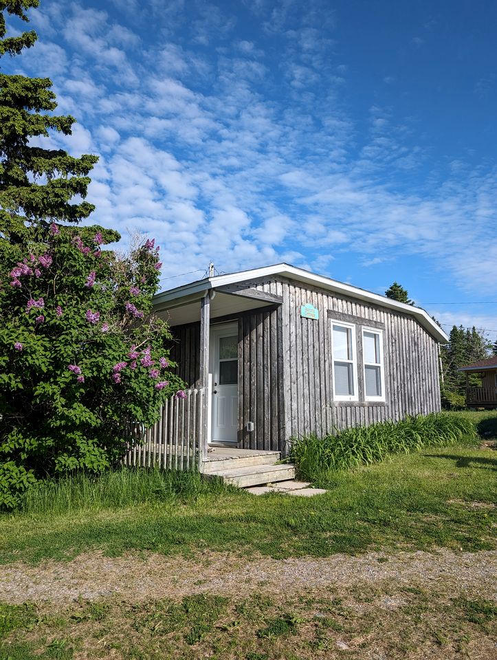 Gorgeous Cottage Settled Among Trees in Ingorish Beach, Nova Scotia