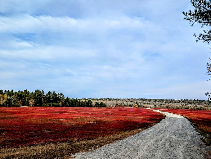 Vacation Rentals (United States of America, Sullivan, Maine)