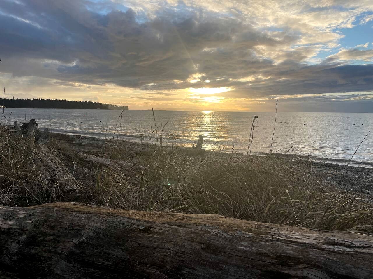 Relaxing Coastal Getaway with Bay Views in Blaine, Washington