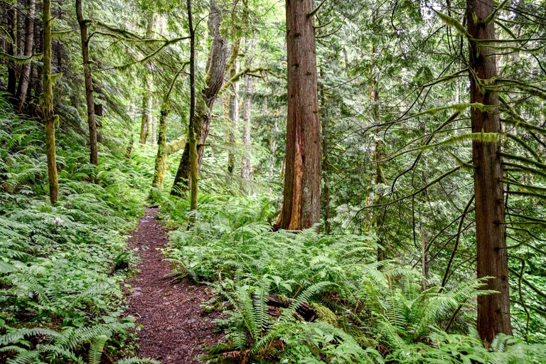 Vacation Rentals (United States of America, Blaine, Washington)