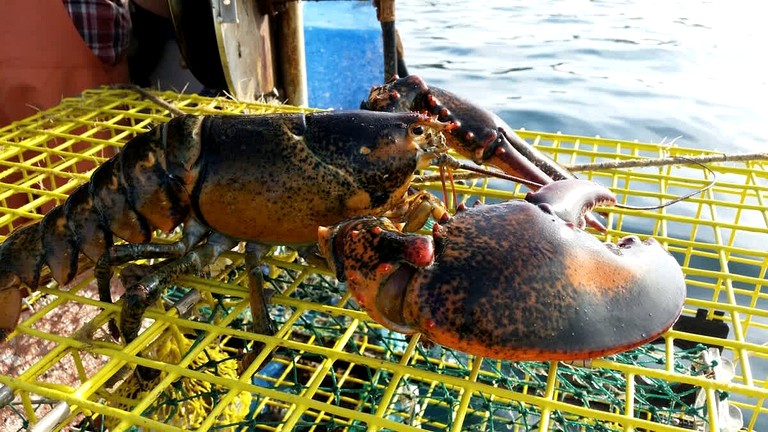 Vacation Rentals (United States of America, Ellsworth, Maine)